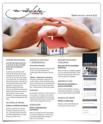 Bolet�n mensual junio 2013